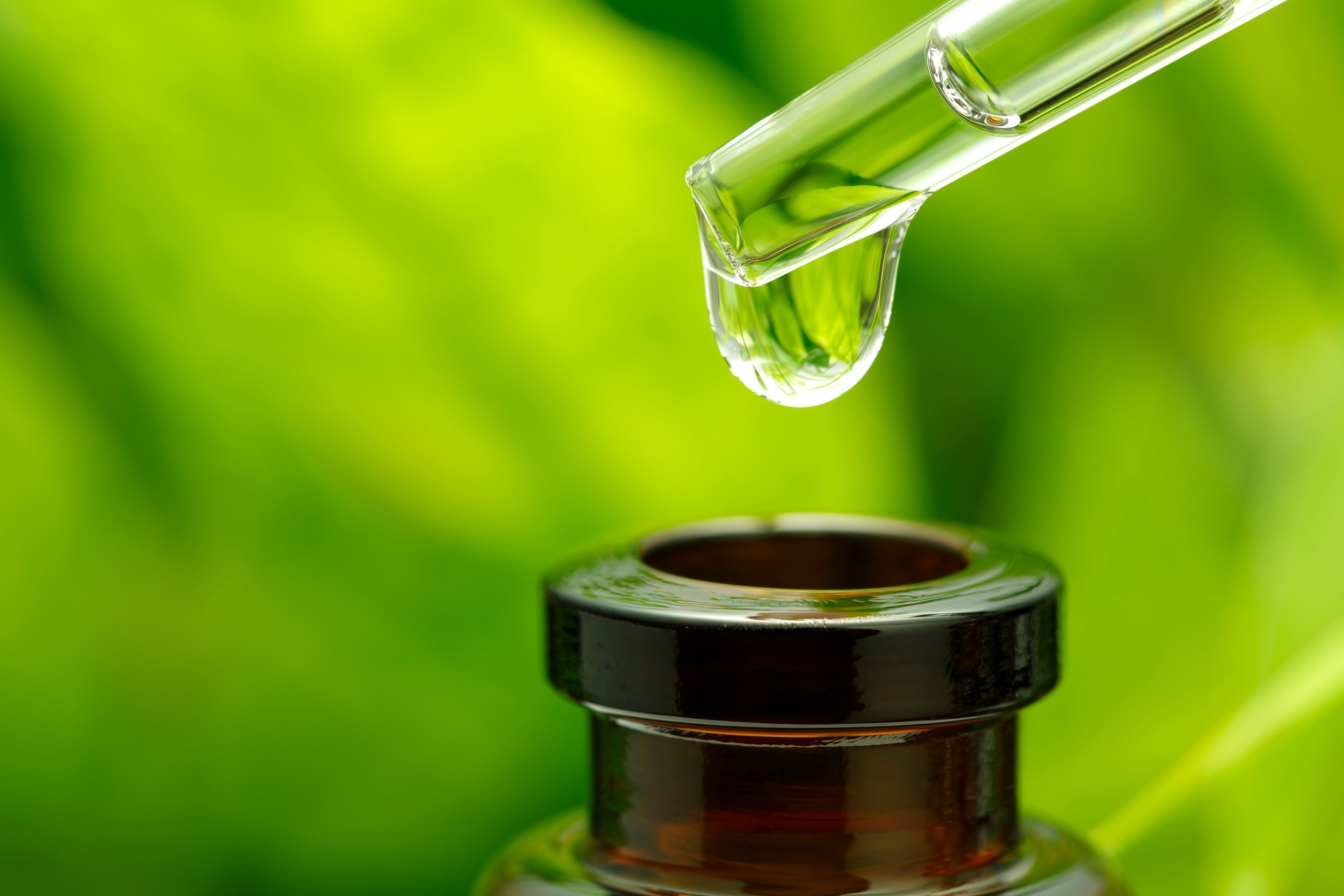 Animal medical treatment research